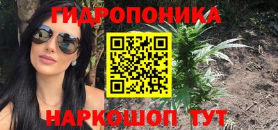 ПСИЛОЦИБИНОВЫЕ ГРИБЫ Камышлов