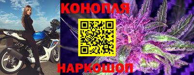 ПСИЛОЦИБИНОВЫЕ ГРИБЫ Камышлов