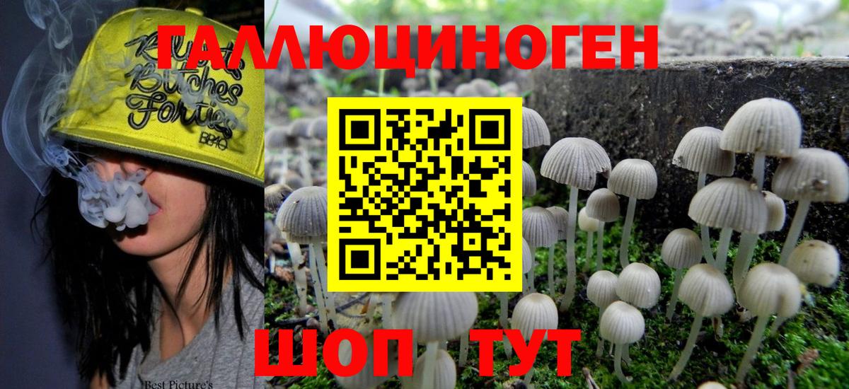 Псилоцибиновые грибы ЛСД Дагестанские Огни