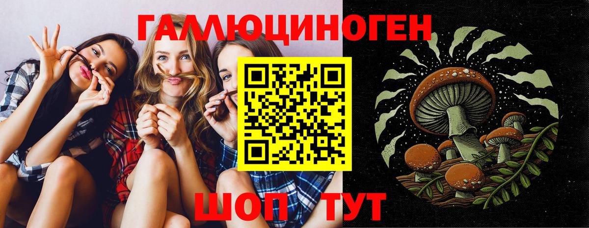 Галлюциногенные грибы мицелий  Псилоцибиновые грибы Psilocybe  купить  сайты  Вход с VPN  Дагестанские Огни 